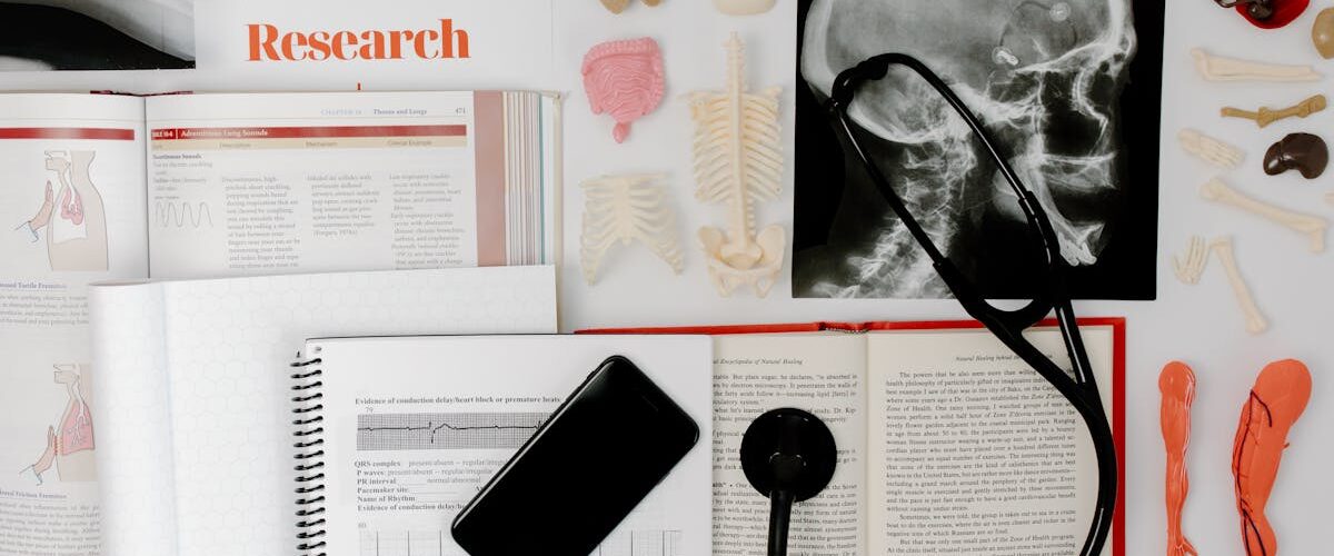 Flat lay of medical research materials with a stethoscope and anatomical models en side dedikert til rør, rørsystemer og rørteknologi 1
